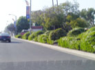 View from a perspective further Southeast