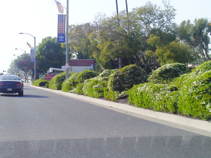 View from a perspective further Southeast